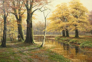 Outono paisagem florestal com águas